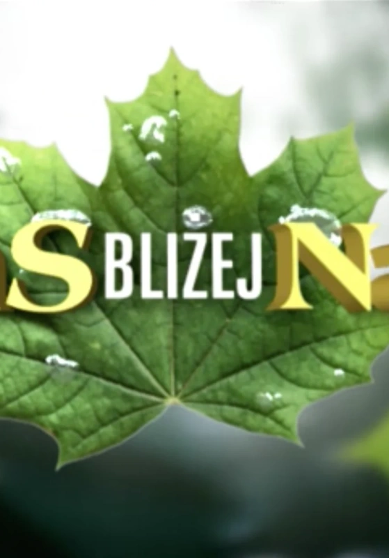 Las bliżej nas